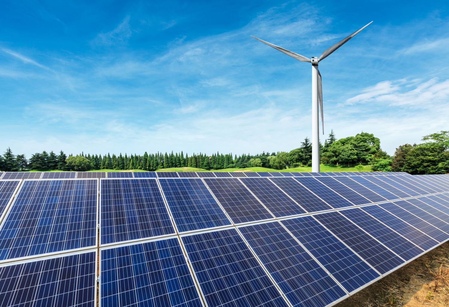 Adopting renewable energy for the future
