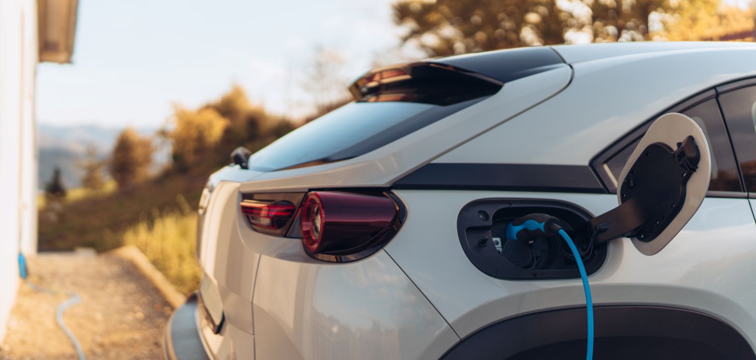 Electric Vehicle (EV)